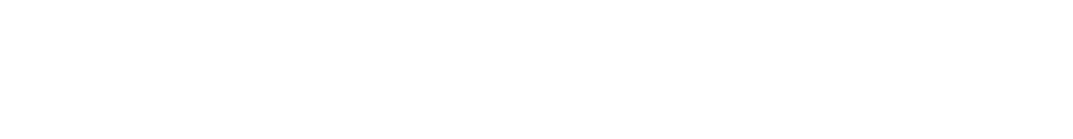 Senza Pensione